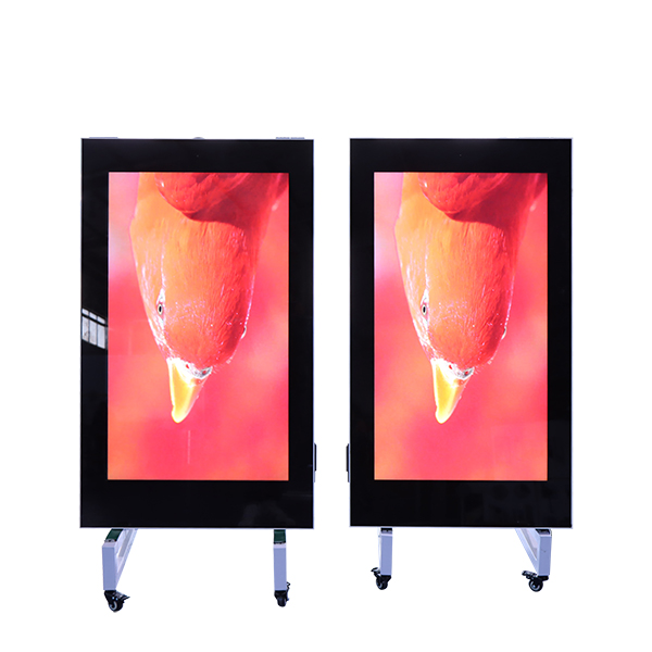 49 Inch Outdoor Wall Mount Digital Signage
